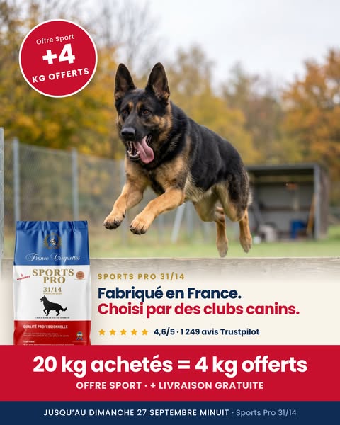 Formulé pour les chiens actifs