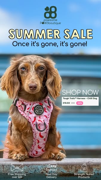 Our summer sale is live.
