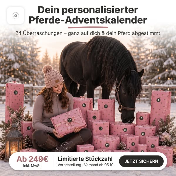 Pferd & Reiter Adventskalender