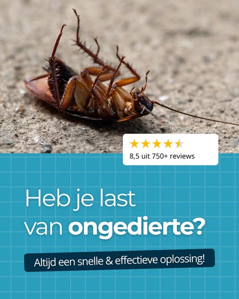 Alles voor het bestrijden van ongedierte