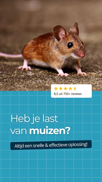 Alles voor het bestrijden van ongedierte