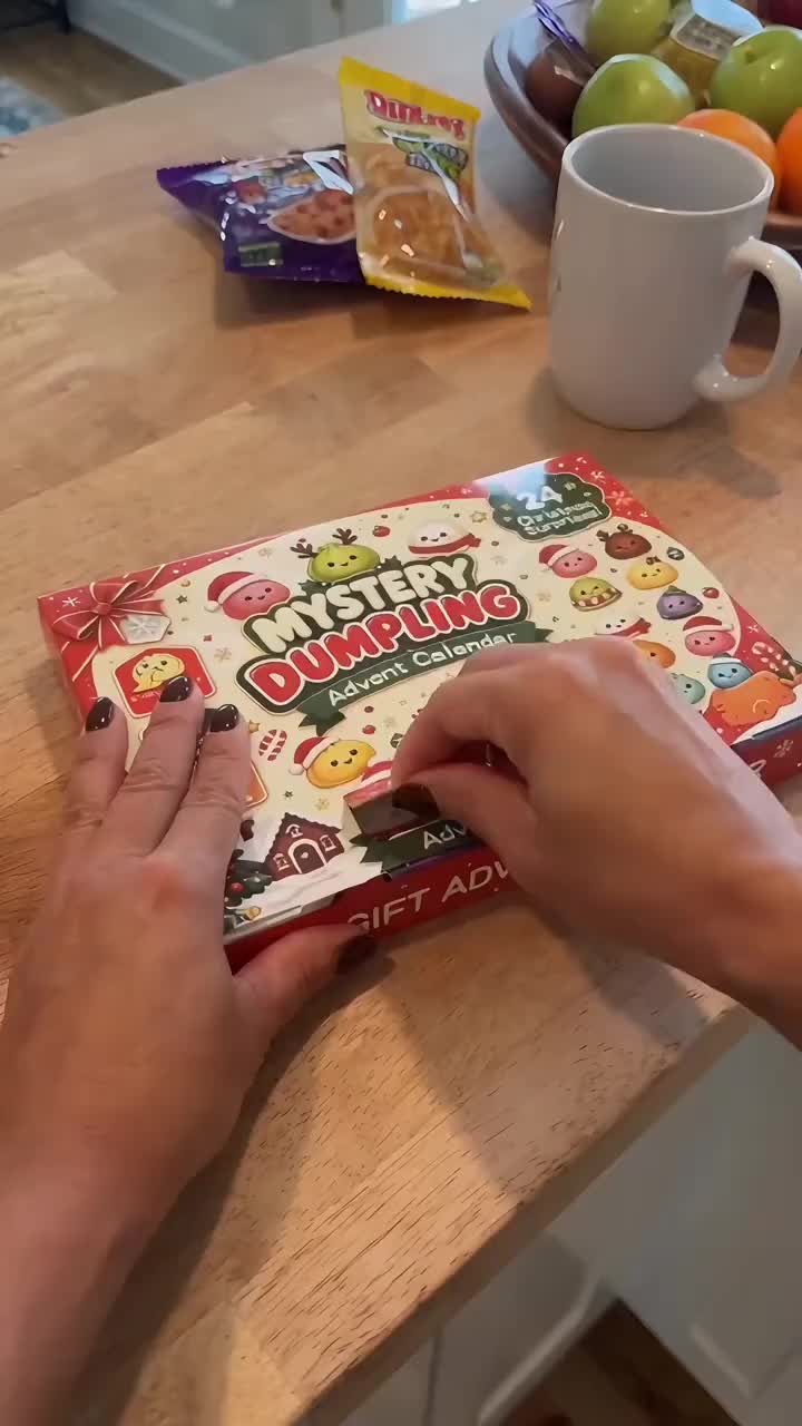 Christmas Dumpling Squishy Advent Calendar – 24 Surprise Toys