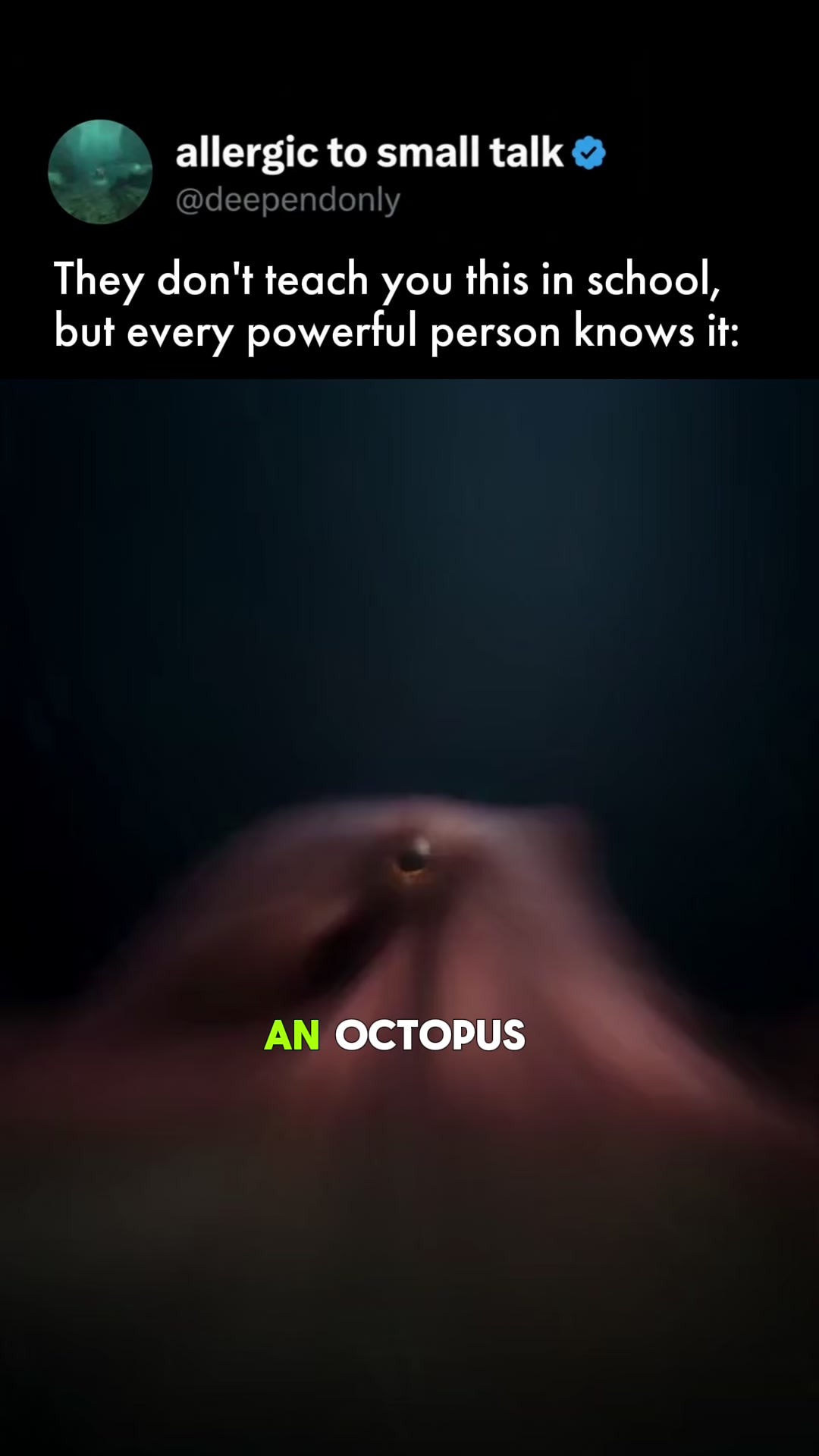 Be the Smartest in the Room