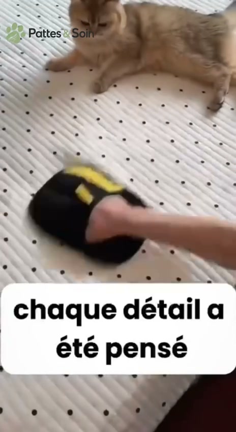 Plus besoin d’aspirateur ou de rouleaux !
