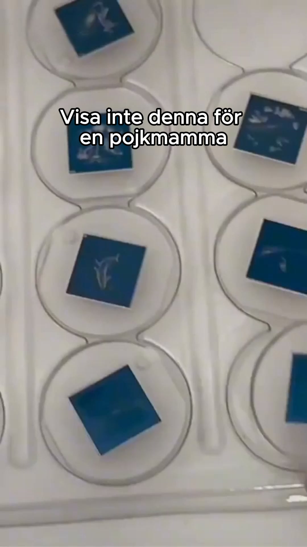 Ljus som förvandlar rummet