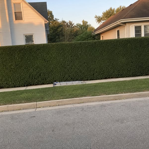 Read This If You Do Your Own Yard Work