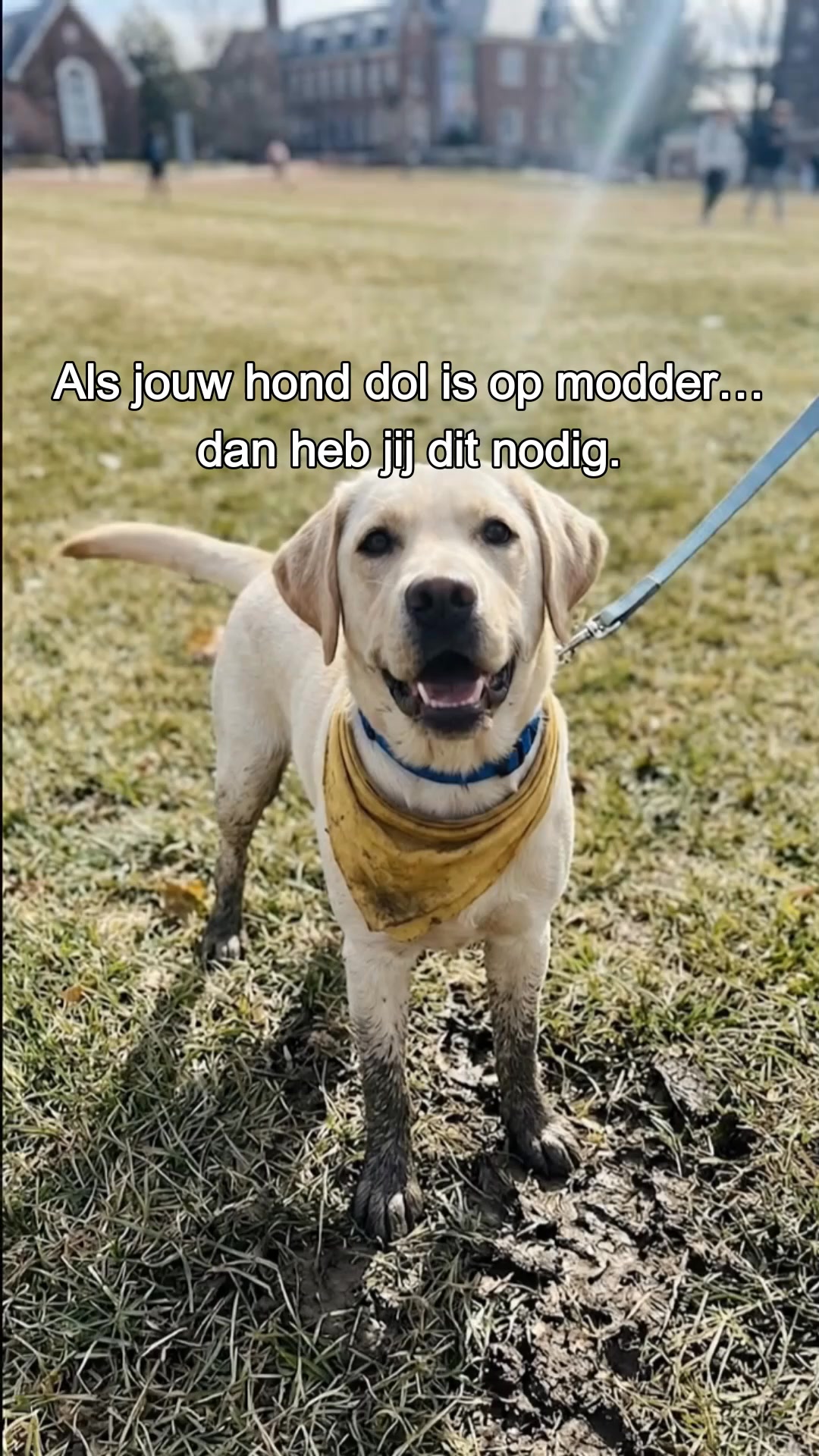 Haren en modder in je auto? Niet meer.
