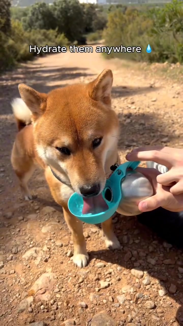 Good dog moms carry this on every walk.