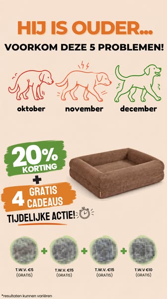 Nu 20% korting + 4 gratis cadeaus!
