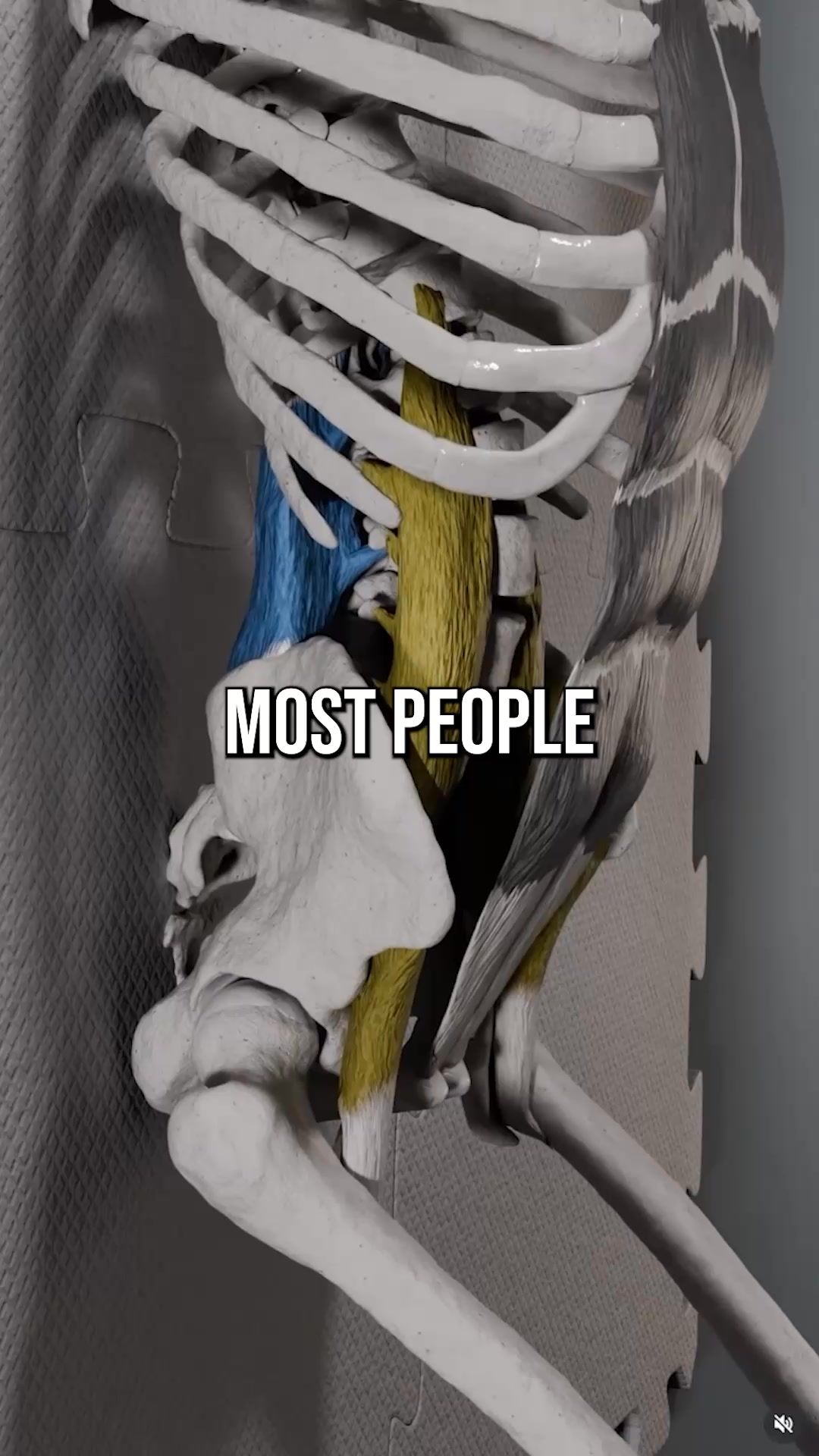 Your Tight Hip Flexors Aren’t a Hip Problem