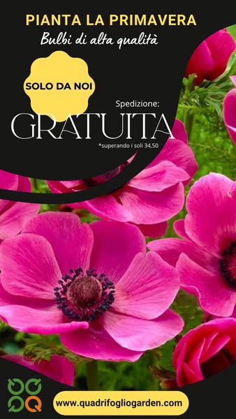 SPEDIZIONE BULBI: GRATIS CON SOLI € 34,50!!