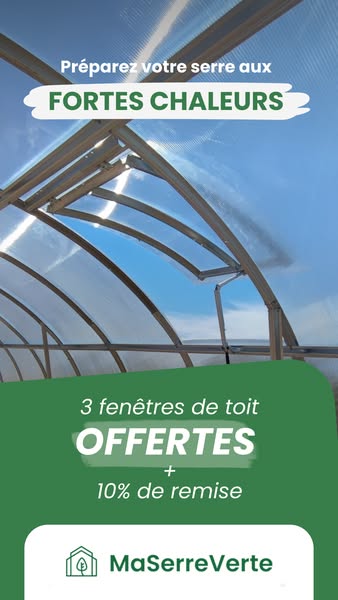 3 fenêtres de toit automatiques offertes.