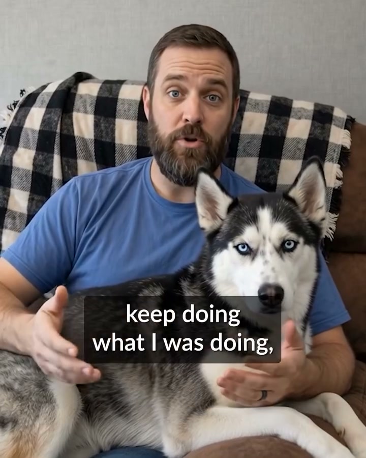 Do This to Eliminate Doggie Breath (Genius)