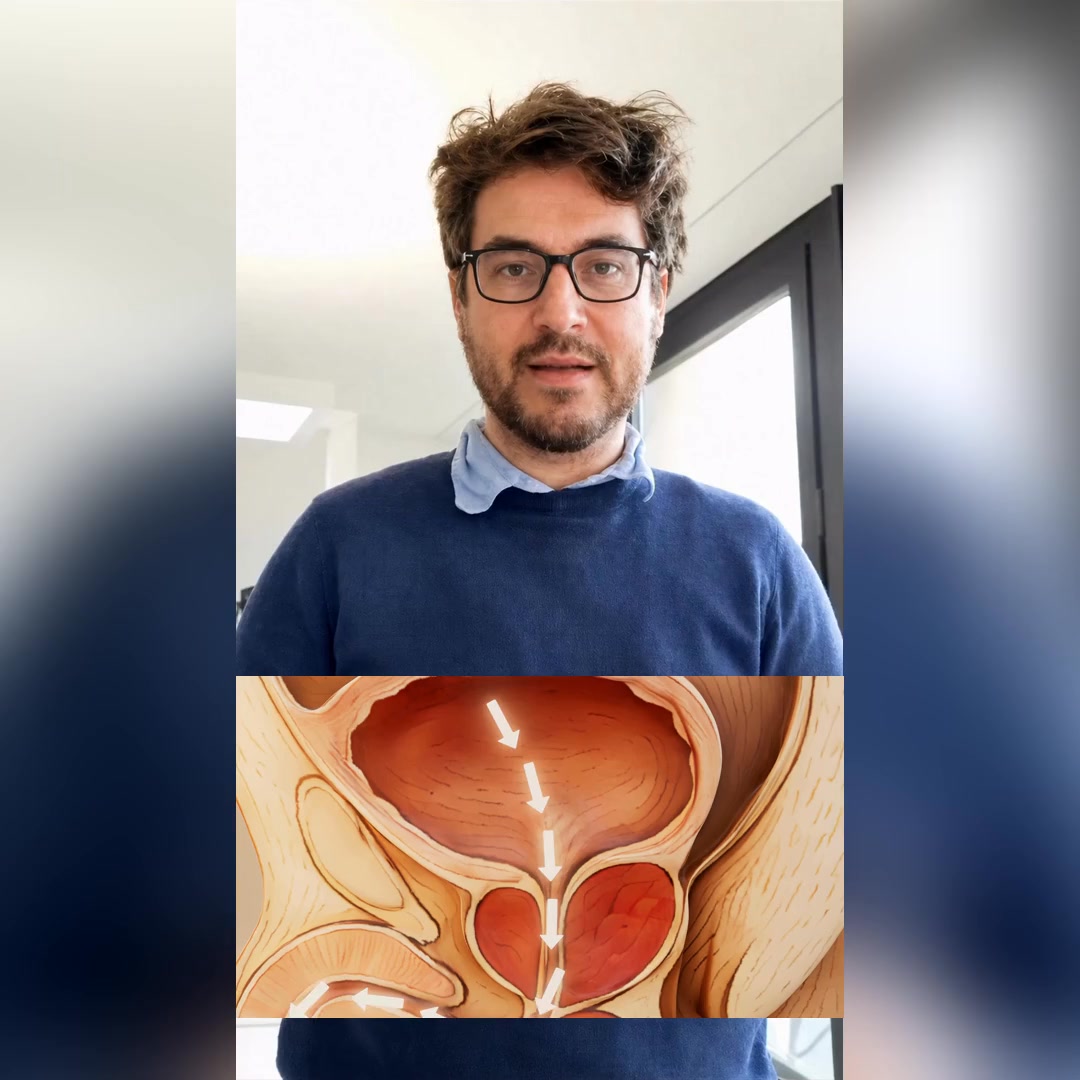 PROSTATE : ce qui cloche dans votre corps