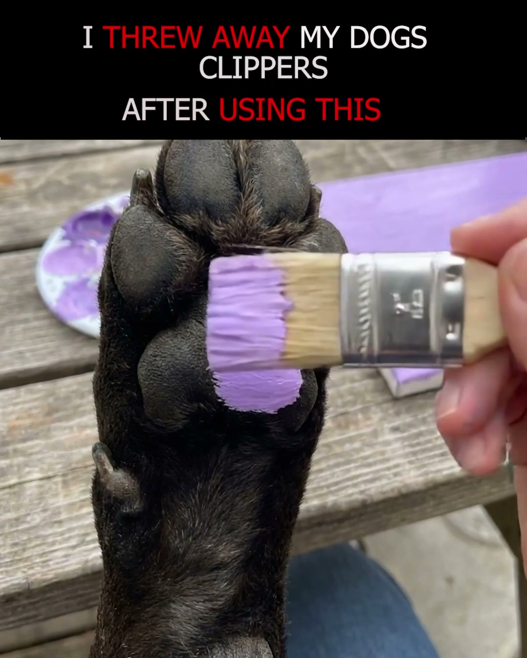 Stress-Free Nail Grooming for Your Dog!