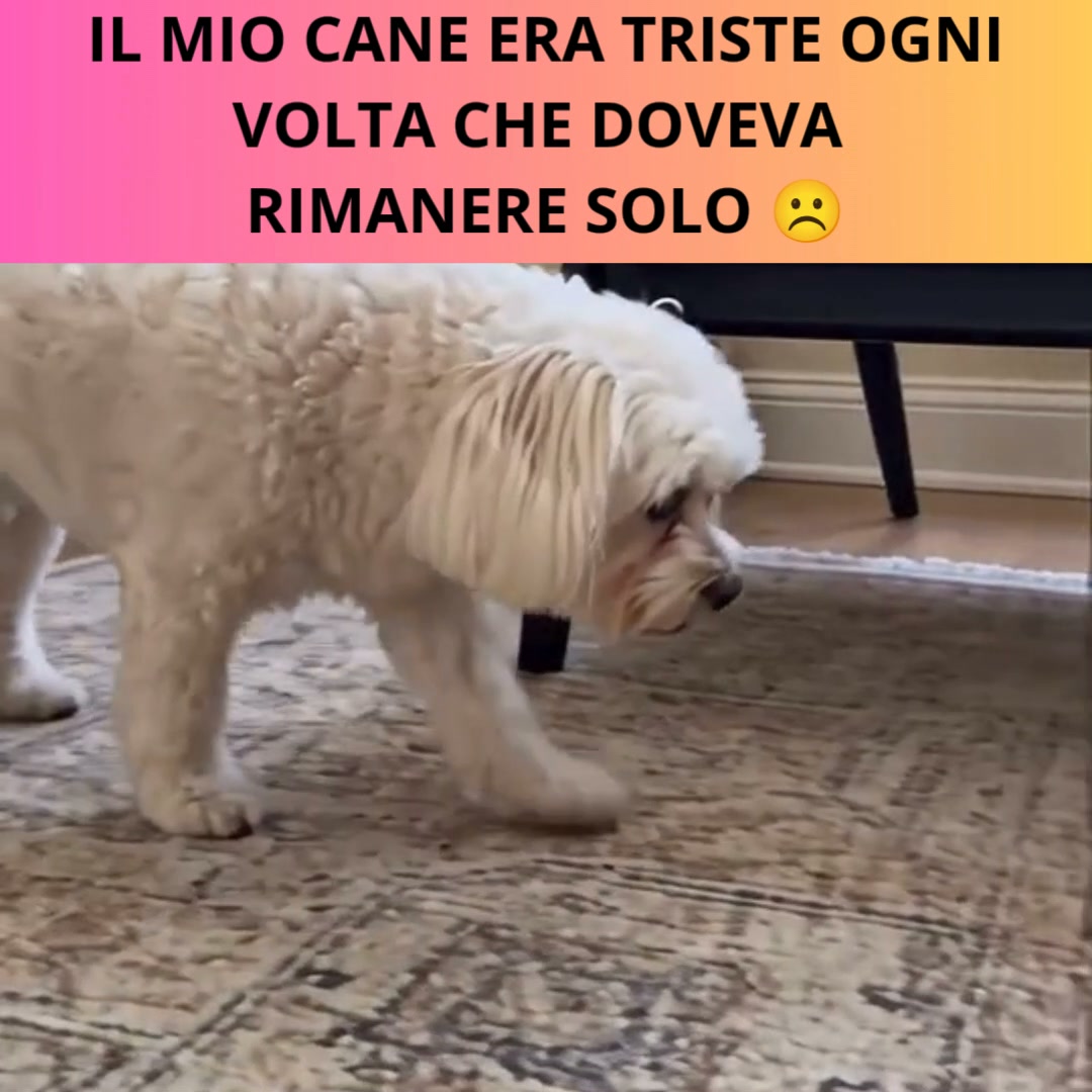 Spedizione Gratuita