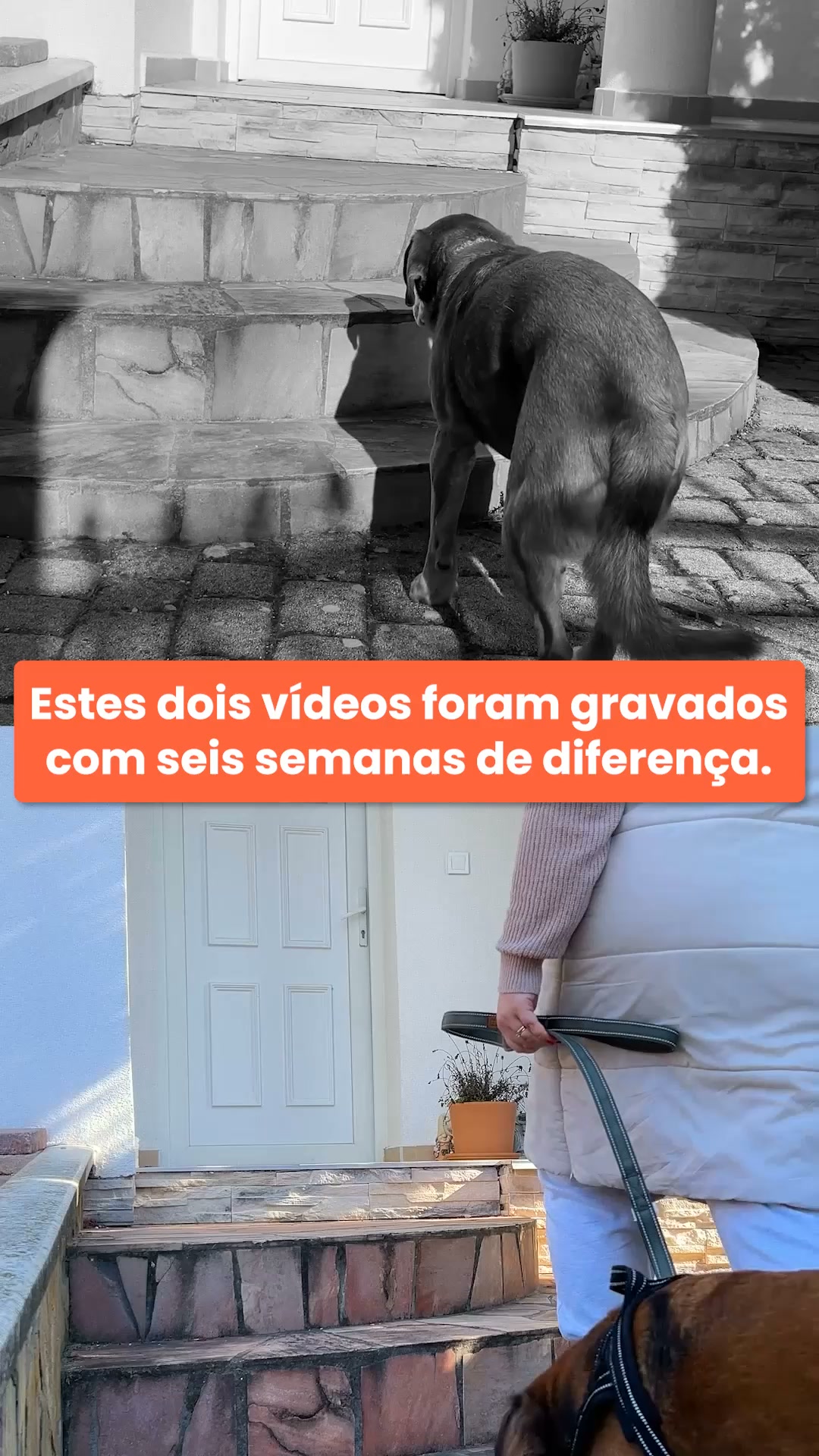 Pastilhas para o cuidado das articulações