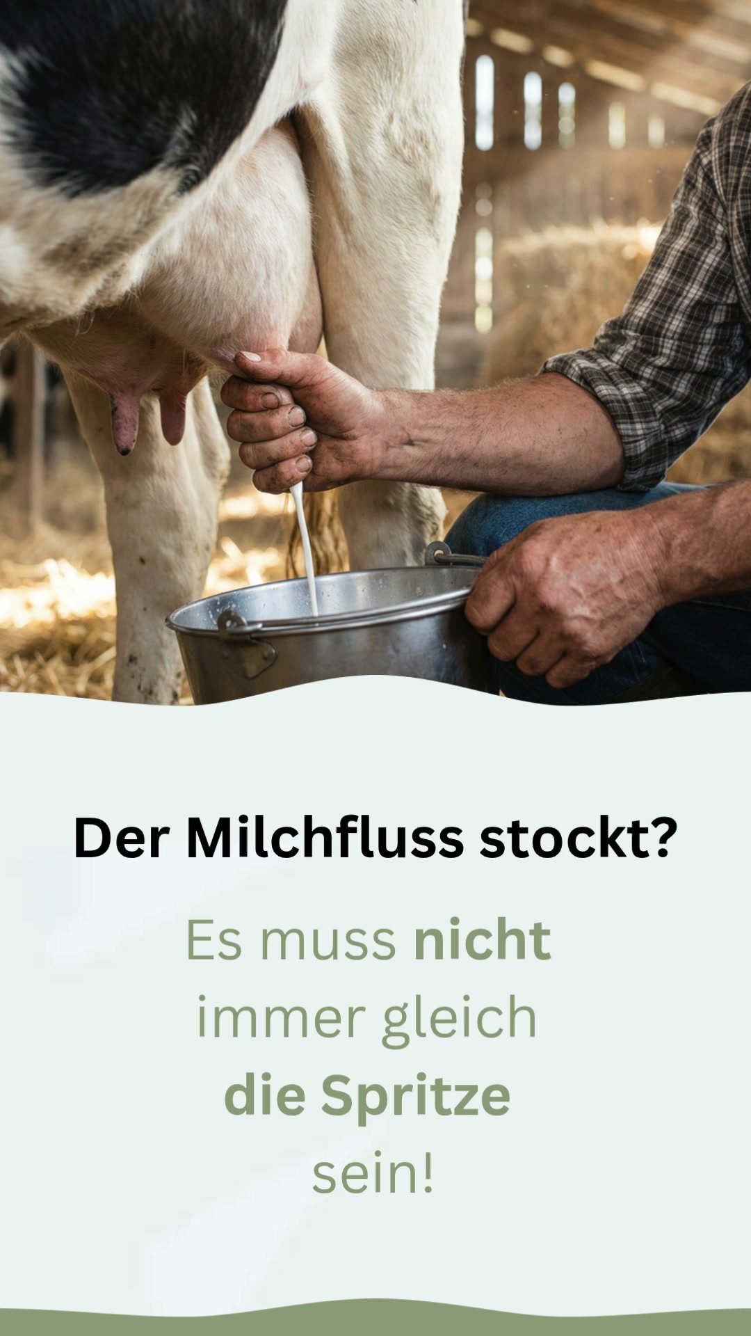 Milchfluss natürlich unterstützen