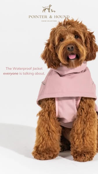 Best fitting dog jackets