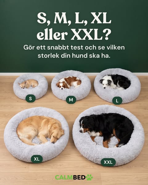 Rätt storlek på 10 sekunder