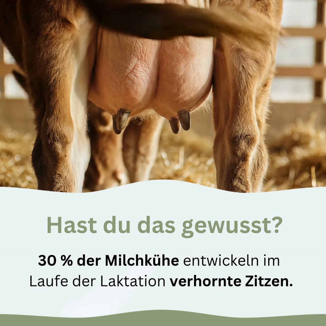 Verhornte Zitzen richtig pflegen