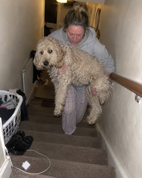 To everyone carrying their dog upstairs