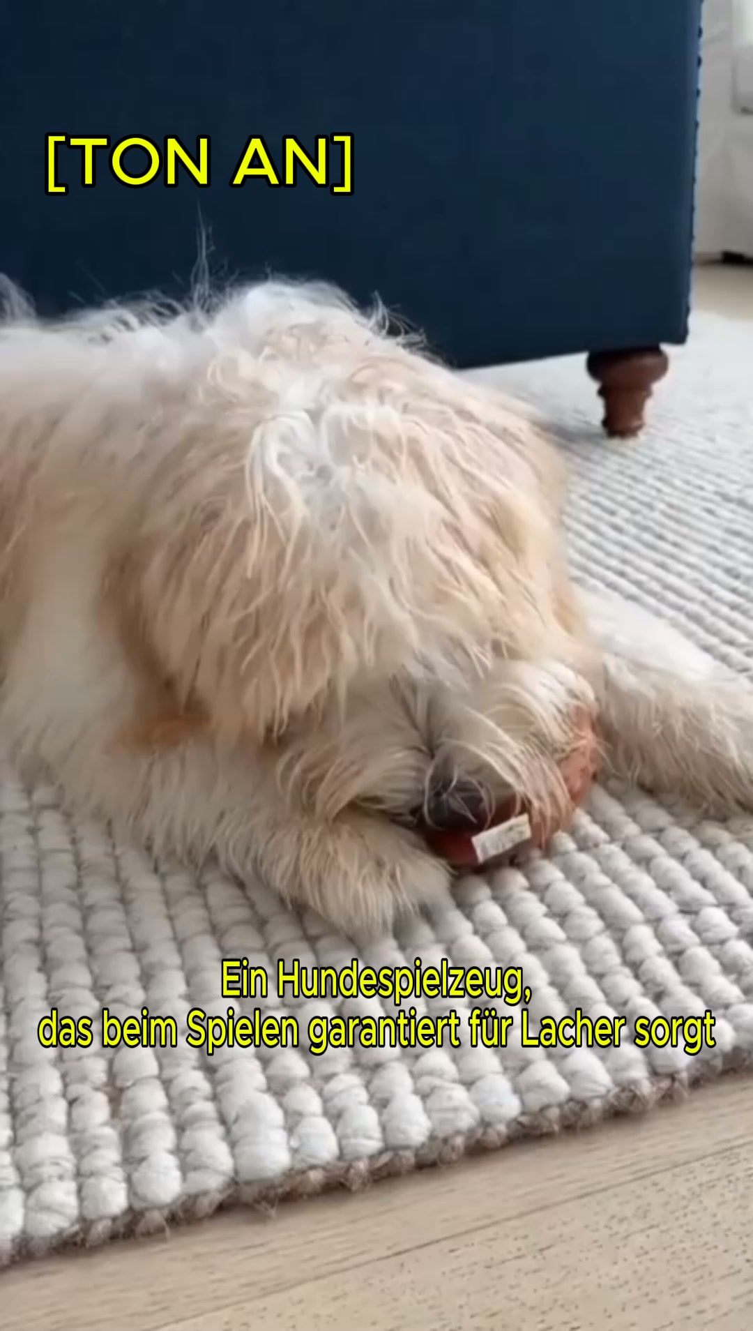 #1 Lustiger Plüschhund
