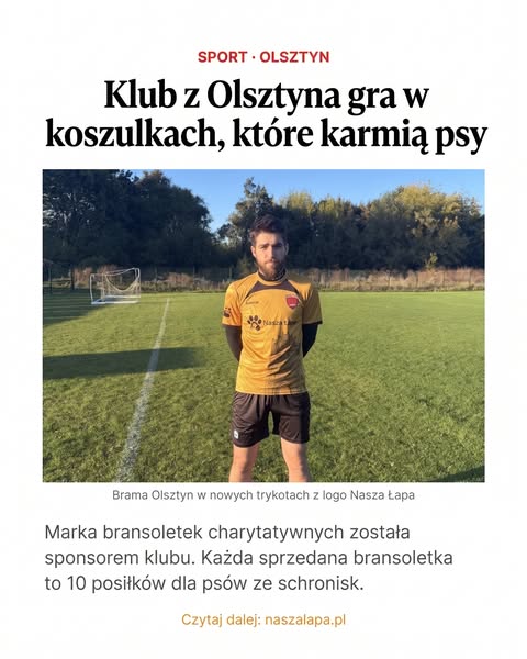 Koszulki, które karmią psy