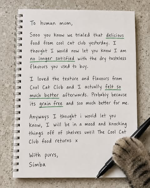 Over 10,000+ happy cats!