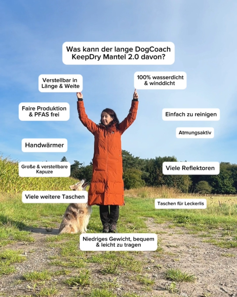 Dein neuer Lieblingsmantel fürs Gassigehen