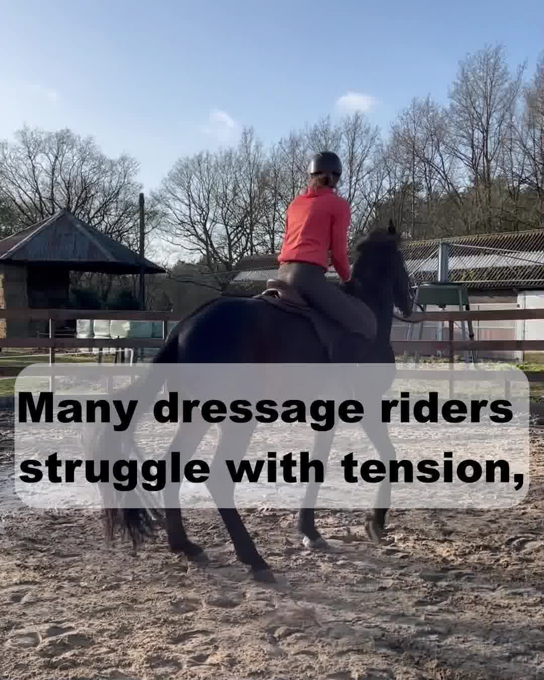 Works for every horse