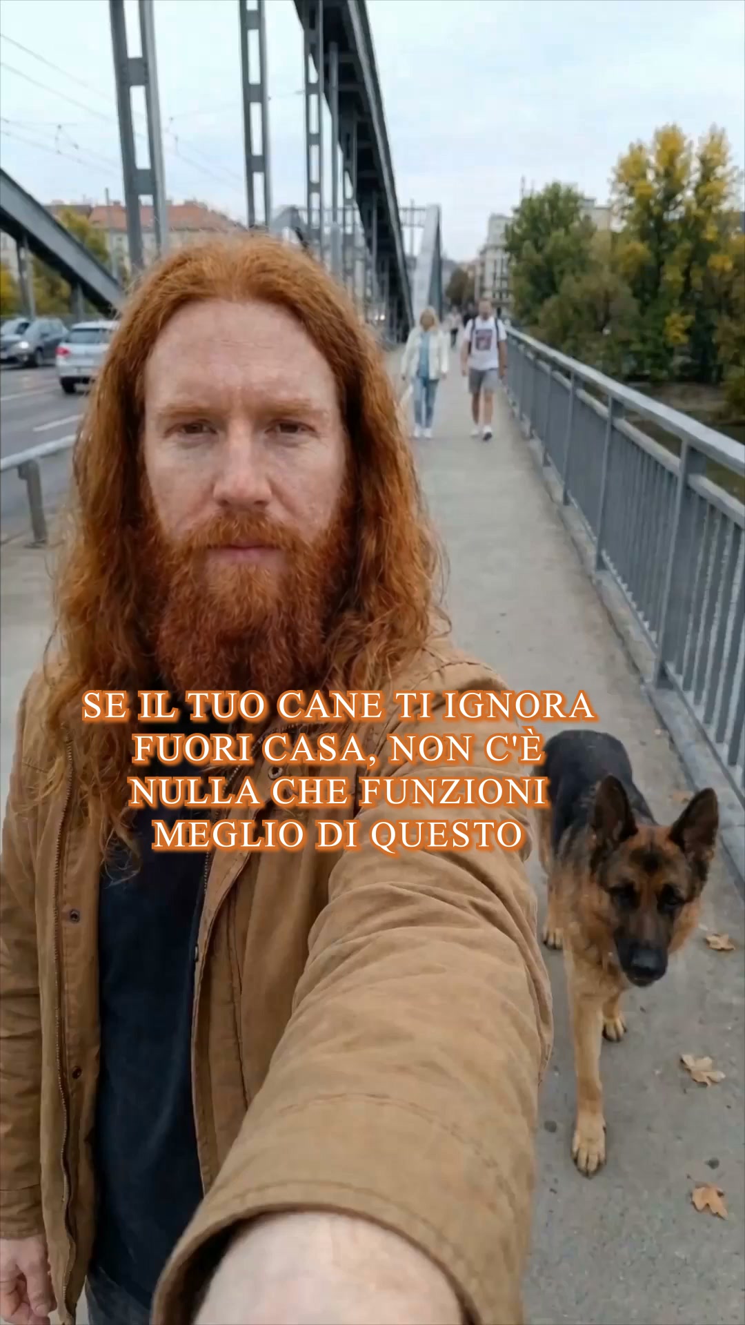 Inizia la Sfida di livello "Cane da assistenza” ▶