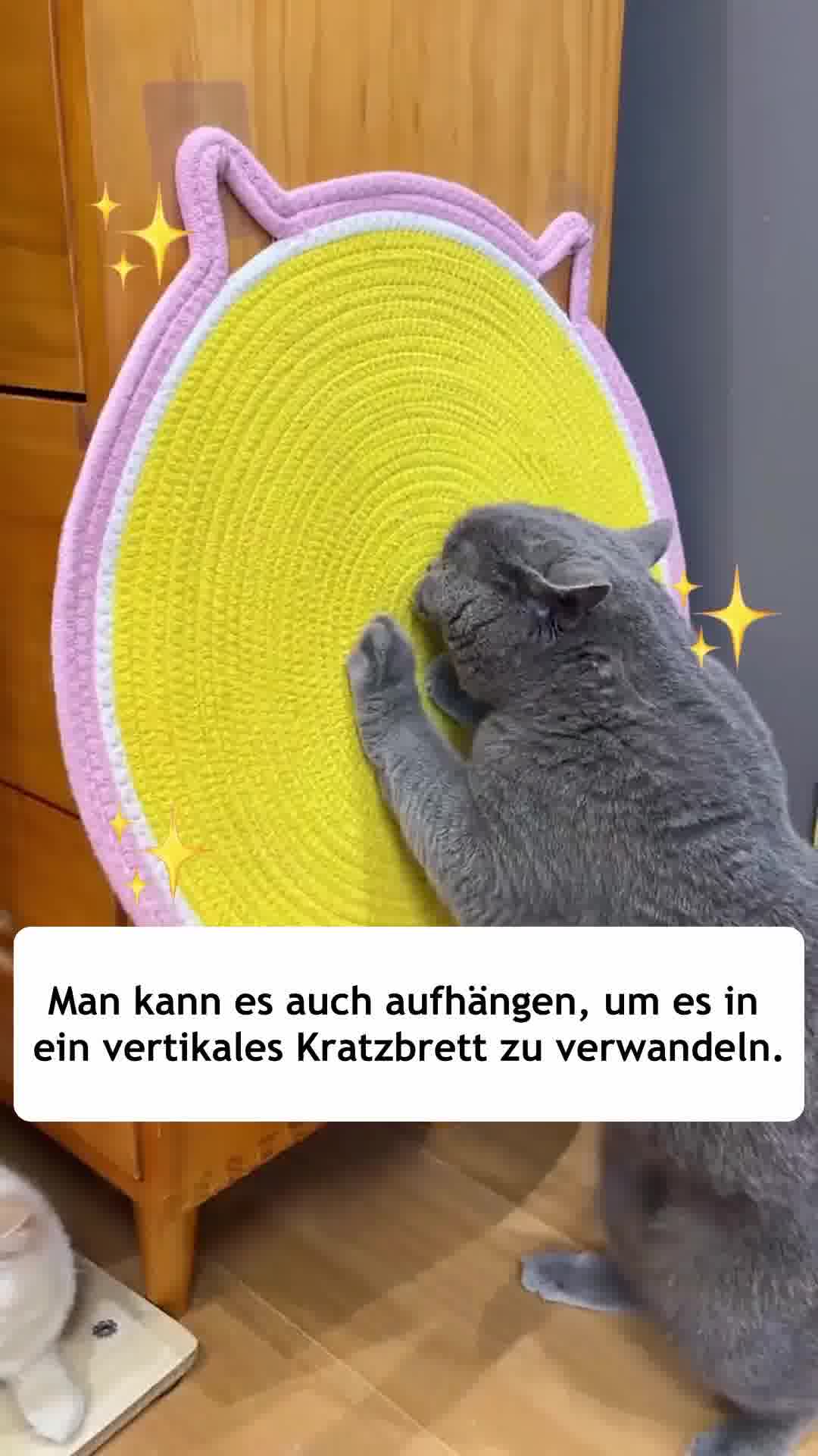 #1 Kratzlösung