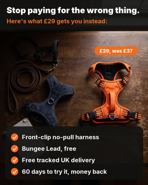 Everything for £29