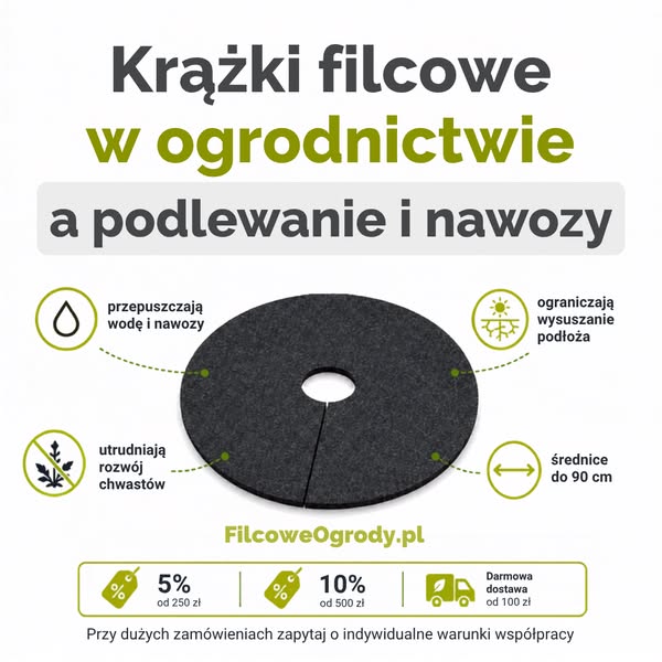 Sprawdź teraz