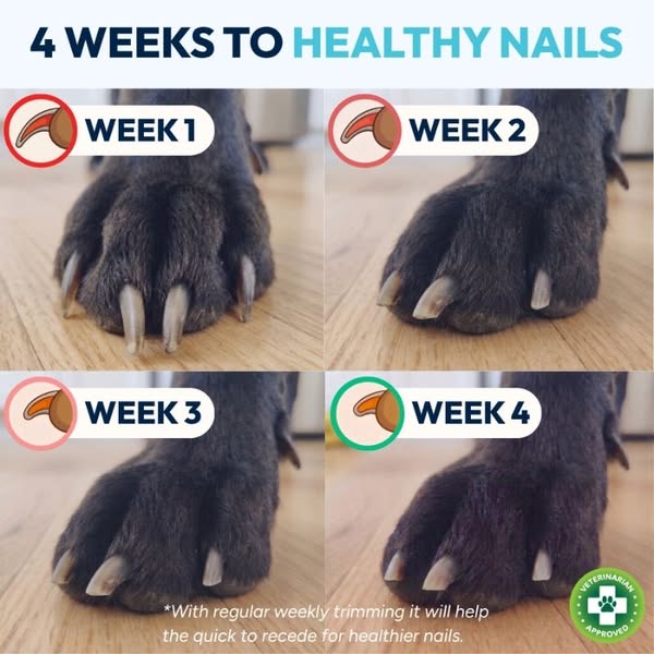 NailHero - See The Quick Before You Cut!