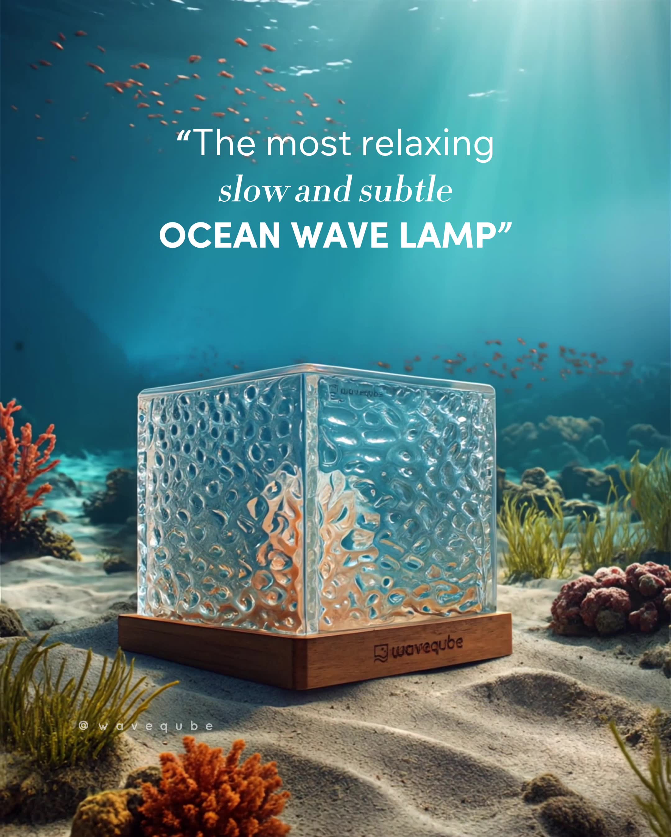 2000+ 5-star reviews