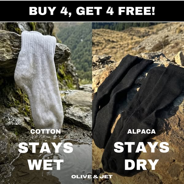 Alpaca Socks