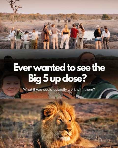 The Kruger Project, South Africa