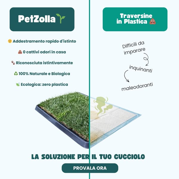 Provalo, zero addestramento