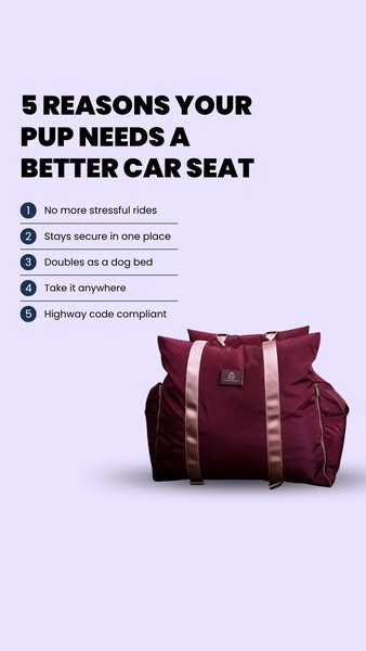 Travel Dog Pod (Now with ISOFIX)