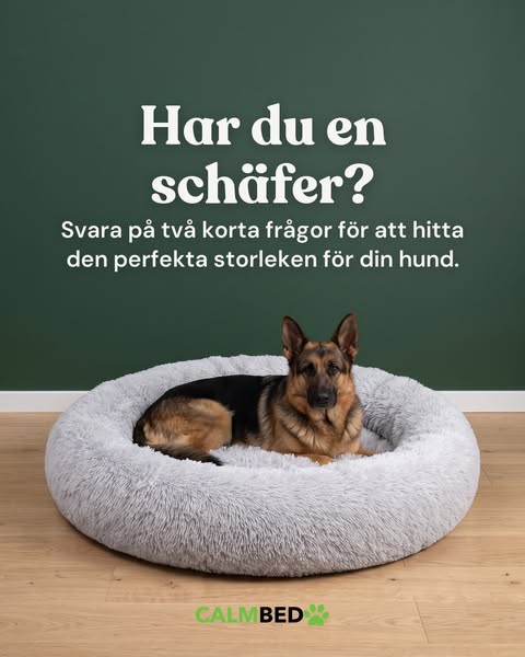 Rätt storlek till din schäfer