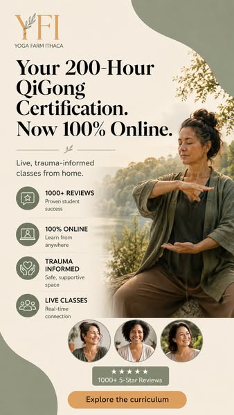 Learn To Teach Qigong - The Cutting Edge Of Well-Being