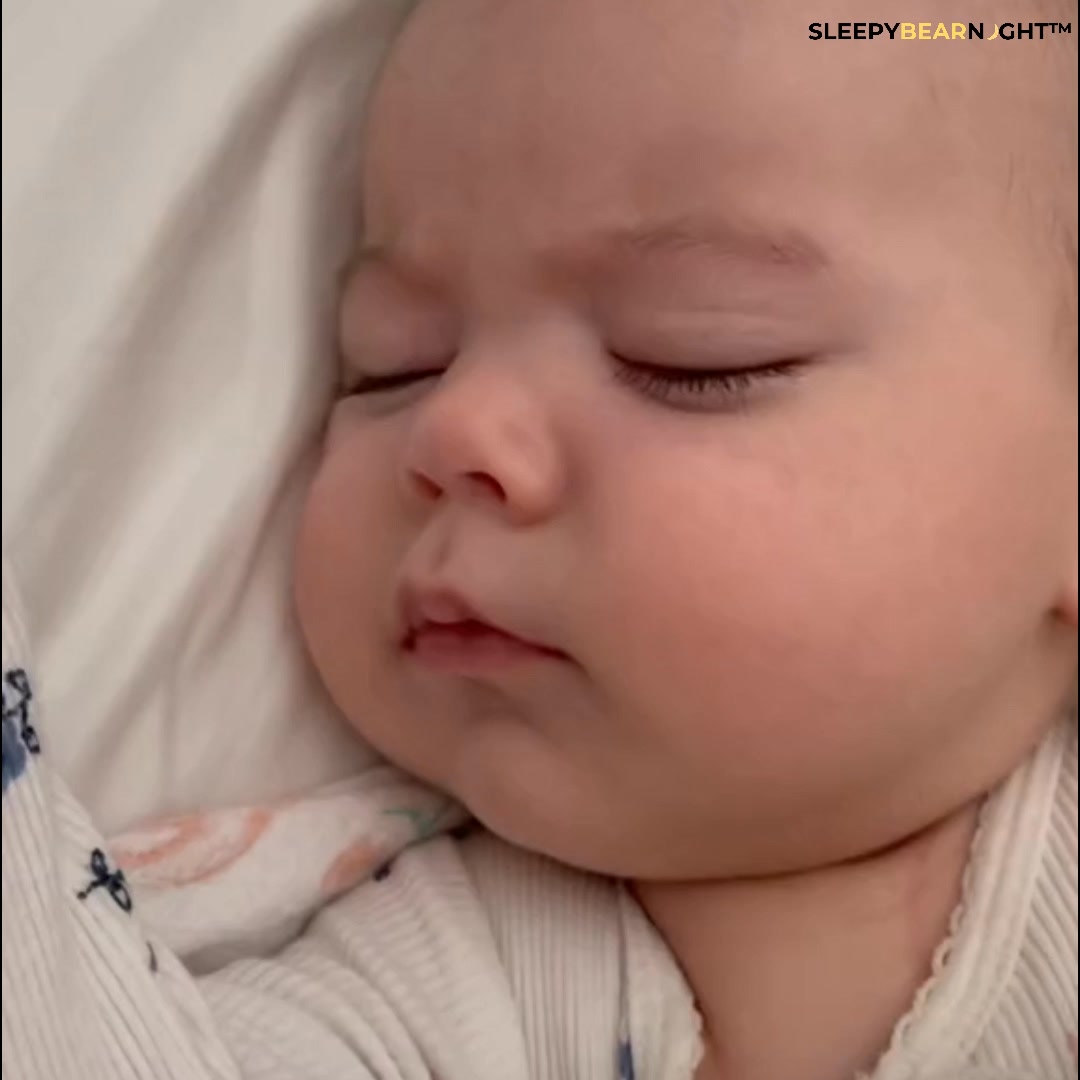 Anúncio de Sleepybearnight
