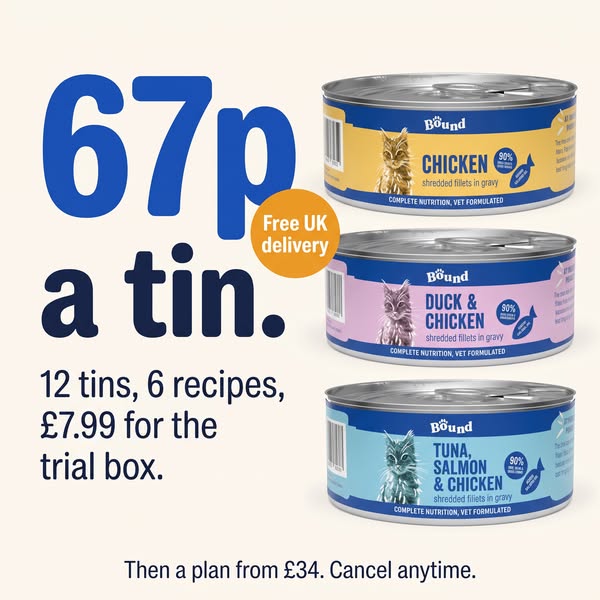 Only £7.99 for 12 Tins!