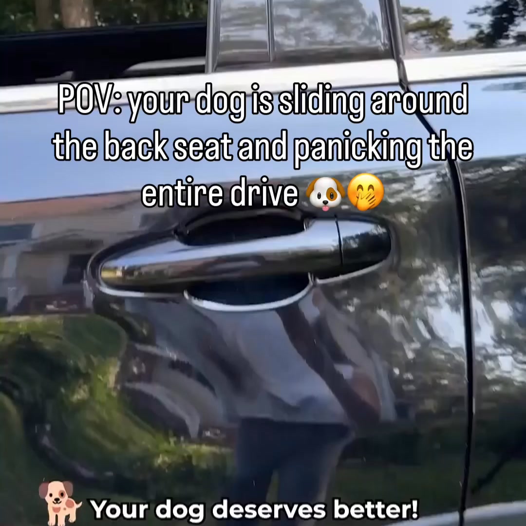 Safe & Comfy Rides in 1 Easy Step