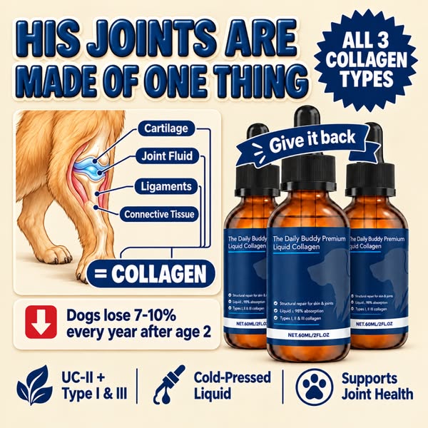 His Joints Are Made of One Thing