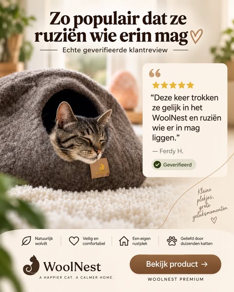 De kattenmand die de doos verslaat.