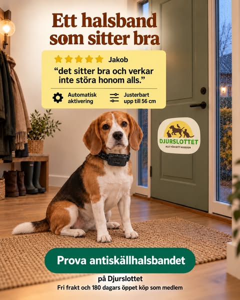 Jakob lyfter halsbandets passform