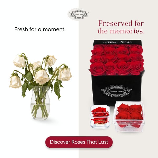 Roses That Last a Year or Longer